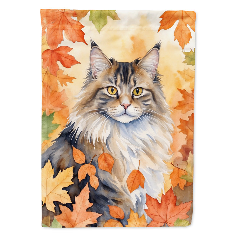 Chat en feuilles d'automne, Norvégien