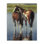 «Horse & Foal Splashing», art mural par Victoria Schultz