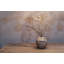 Beachstone Vase - Round