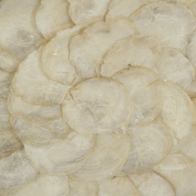 Abstract Shell Print