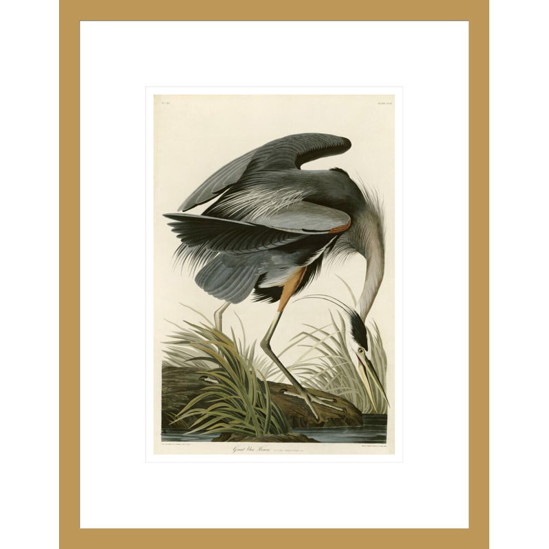 «Great Blue Heron» par John James Audubon, impression giclée encadrée, H 16,75 po x l 13,13 po