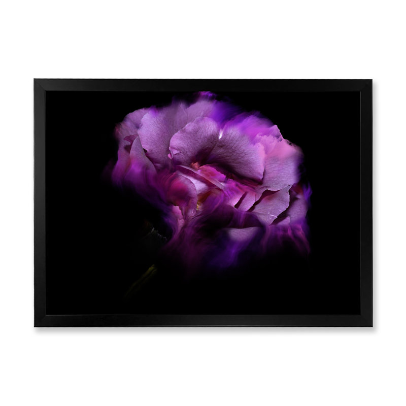 " Purple Dark Fractal Flower IV ", Black Picture Frame, 8" H x 12" W x 1" D