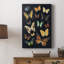 Collection Flutter III - galerie Cavas sur mesure-2111268382