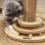 49 cm H Cat Scratchers
