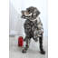 Décoration pour chien debout en aluminium fabriqué à la main Golden Retriever 23 po x 12 po x H 21 po