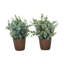 Ensemble de 2 plantes artificielles d'eucalyptus, 33 cm de hauteur, en pot, décoration de table intérieure avec pots bruns-1043385798