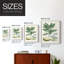 Impression encadrée Buchoz Tropicals IV - bois massif-594453962-594453961