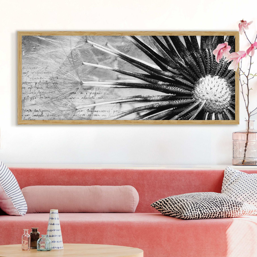 Gerahmtes Poster Dandelion Black & White