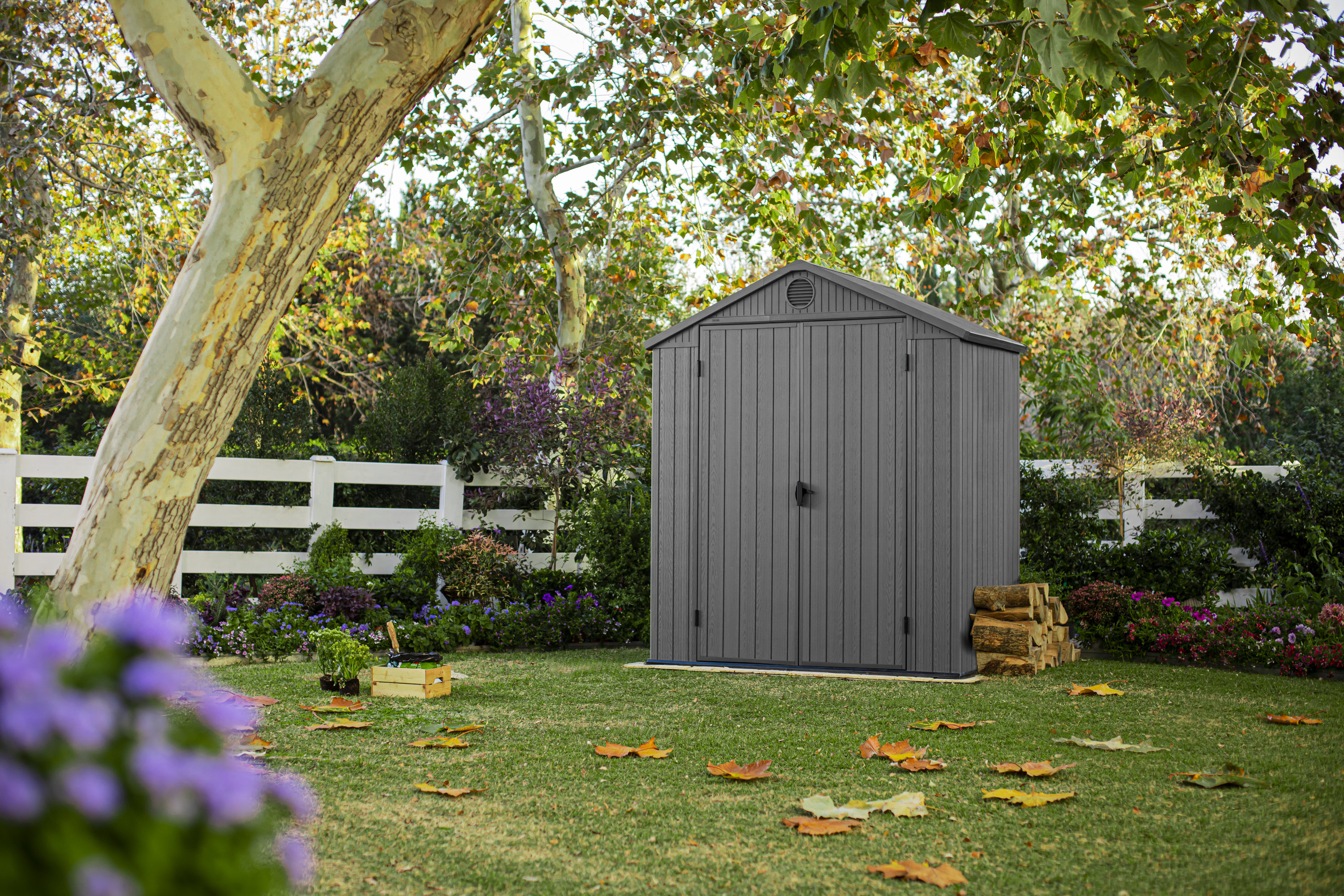Keter Darwin 6x4 ft. Durable Resin Outdoor Storage Shed With Floor and
