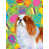 Épagneul cavalier King Charles sélectionné