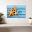 Starfish-1159165694