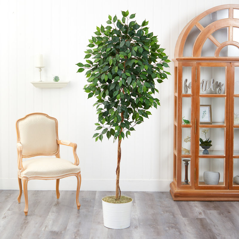 72'' Faux Ficus Tree in Metal Planter, White