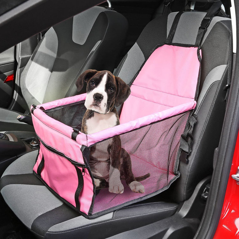 Allendale Collapsible Pet Carrier, Black