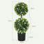 70cm Plant