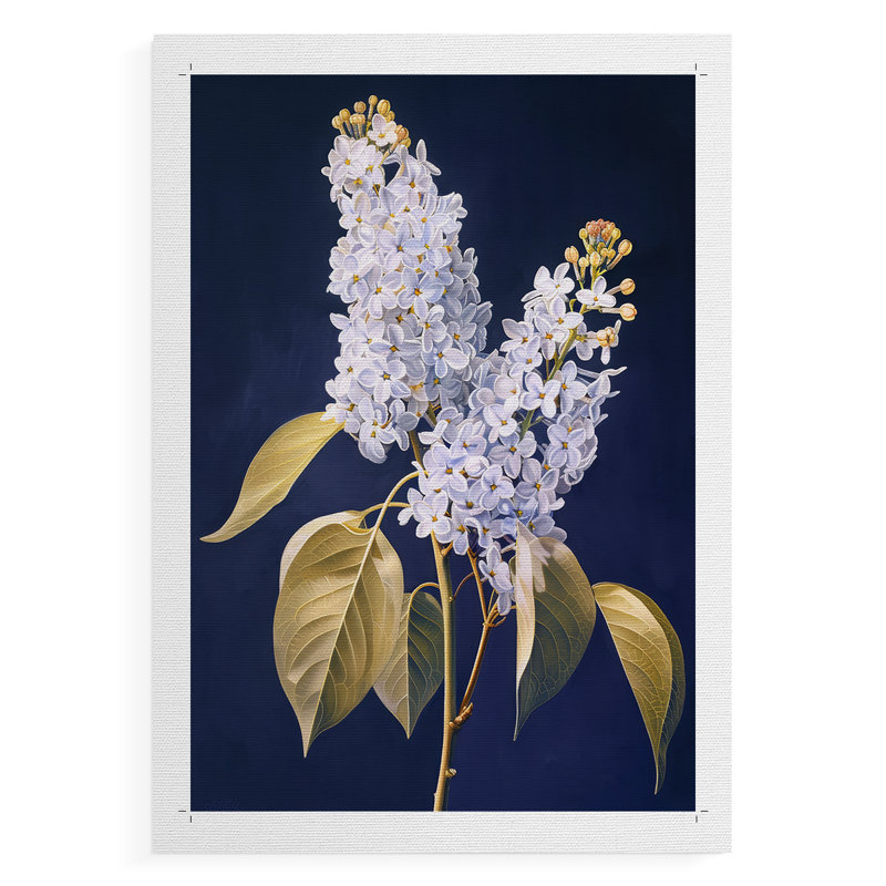 Série FLORAL CLxxviii - impression sur toile seulement - non encadrée, H 27 po x l 18 po