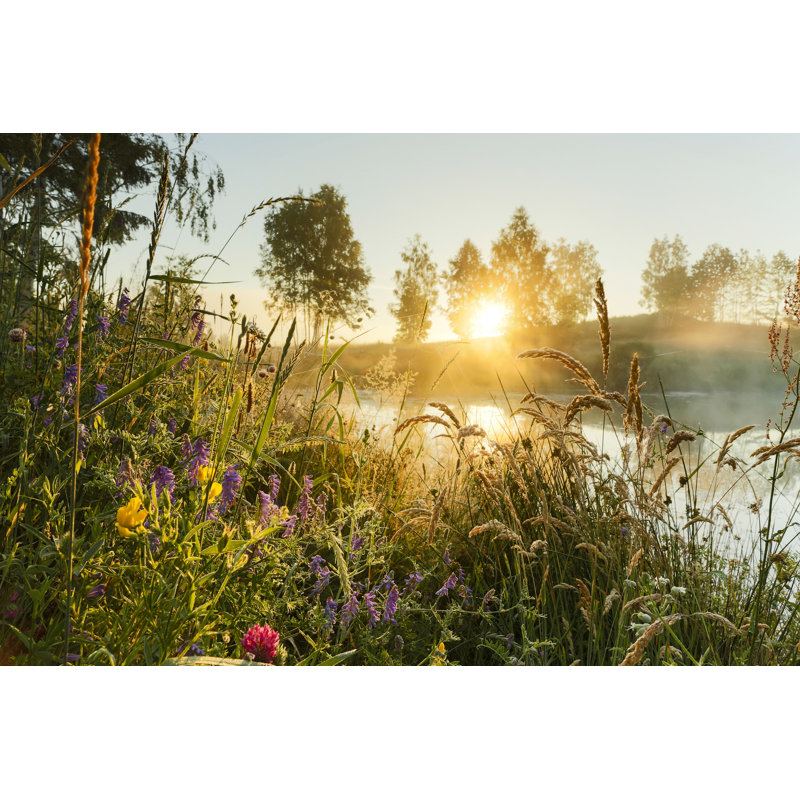 Morning Light - Photographie sur toile tendue, H 8 po x l 12 po