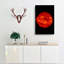 Giant Filament On The Sun - Wrapped Canvas Print-55366154