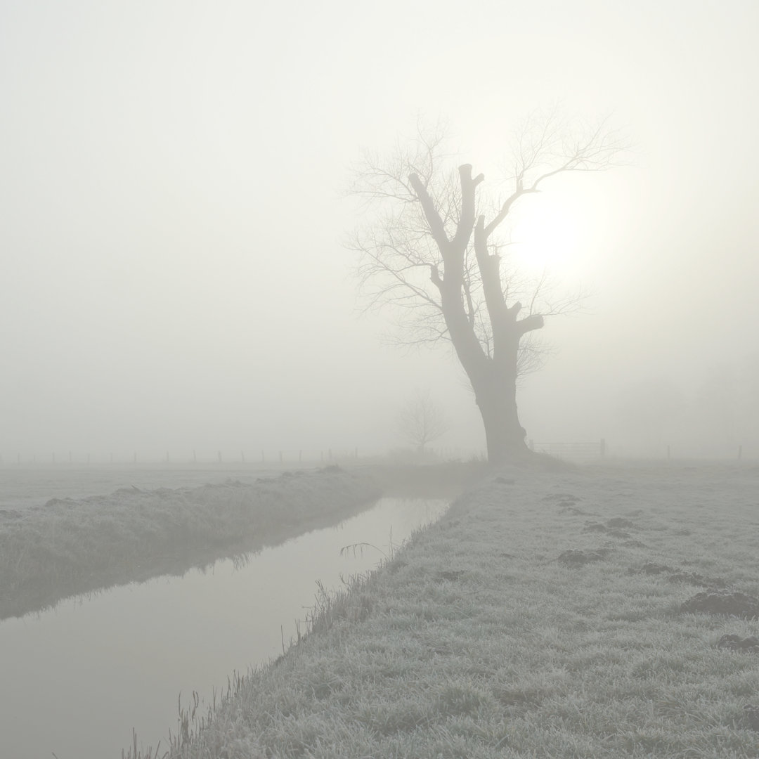 Einsamer Baum von Dirk70 - Leinwandfoto im Wickel