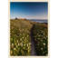 Pigeon Point Lighthouse Print by Nathan Turner