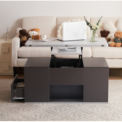 Coffee Table with Storage
