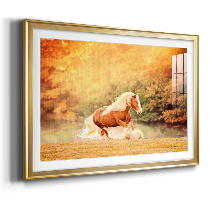 Horse Motion II, reproduction d'art sur papier, Or, H 15 po x l 21 po x P 1,5 po