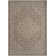 Gerritt Persian Indoor/Outdoor Area Rug