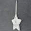 Friend Everyone Wishes They Had Star Shaped Ceramic Ornament