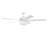 Karelle 60'' Ceiling Fan with Light Kit-2108294607