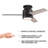 Caliopia 42'' Ceiling Fan with LED Lights-116215002