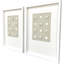 Shell Collection Framed Art