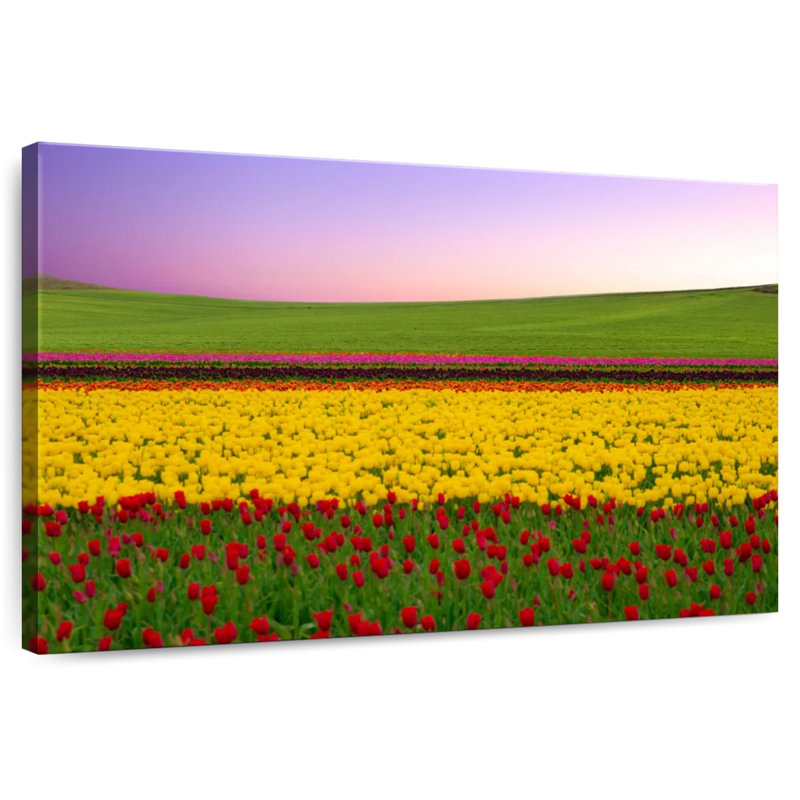 Superbes tulipes d'Alvord, H 8 po x l 12 po