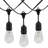 Finian 37.5'' Plug-in String Light