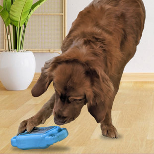 De' Vora Scratch Square Dog & Cat Grooming Toy, Large/XL