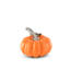Harvest Renin Pumpkin Place Card Holder