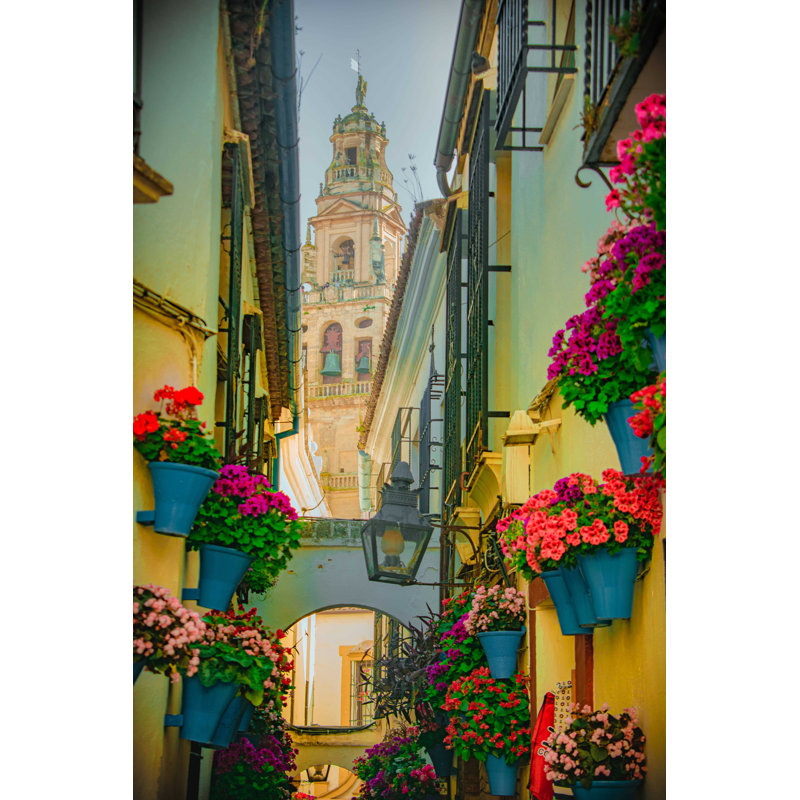 «Flower Street in Cordoba» par Danellys Castillo Vejerano - photographie sur toile tendue, L 12 po x H 18 po