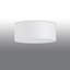 Daisy-Mai Semi Flush Mount-1987052217