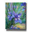 "Iris" par Richard Wallich-1980401131