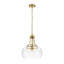 Luminaire suspendu simple en forme de dôme en verre transparent industriel 1 lumière 14 po