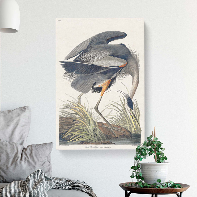 Great Blue Heron by John James Audubon - Wrapped Canvas, 60cm H x 40cm W x 3cm D