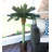 Faux Palm Tree in Wicker/Rattan Basket-1742963075
