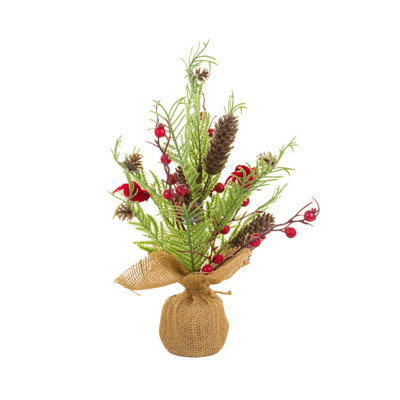 14 plantes