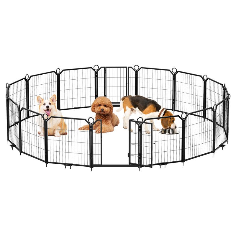 Cat House
