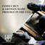 Plaque de protection pour porte Ackland - Aluminium anodisé - Fixation industrielle auto-adhésive-83149187-83149193
