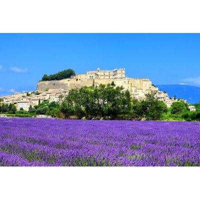 Lavender Field - Wrapped Canvas Print