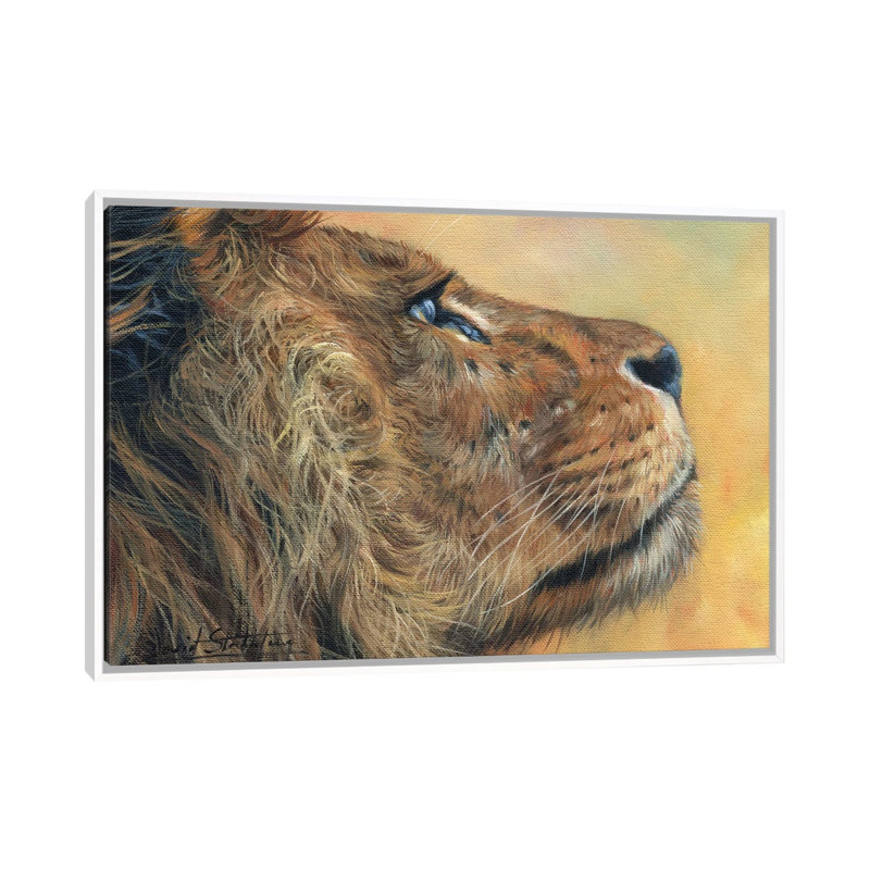 Lion Profile by David Stribbling - Print on Canvas, White Framed, 66.04 cm H x 45.72 cm W