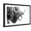 «Buffalo Vers l'avant», reproduction d'art encadrée sur papier-20252060-19578836