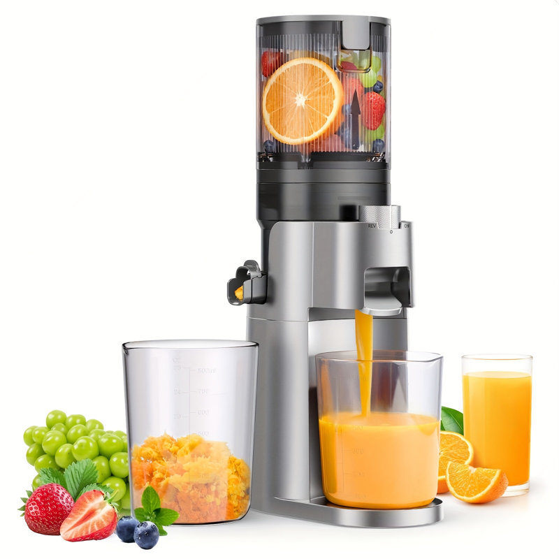 Cold Press Juicer Machine with 4-Inch Wide Chute, Slow Masticating Juicer Machine for Whole Fruits & Vegetables, High Juice Yield, Gray