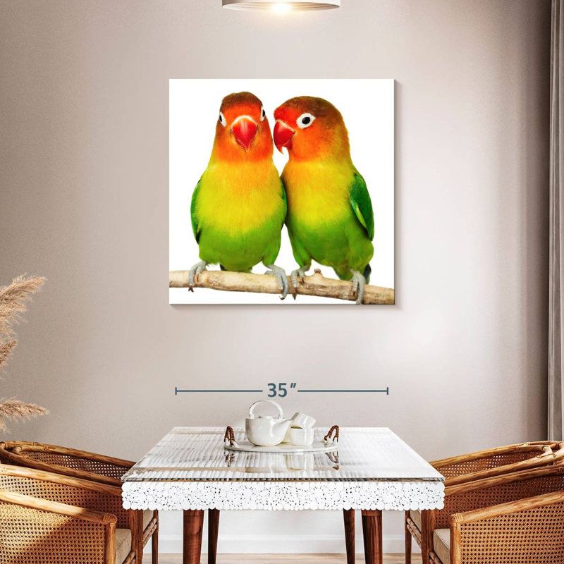 Crowle Lovebirds, H 36 po x l 36 po