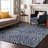Premium Machine Washable Colmenero AMF1020 Swirls Rug-2010047446