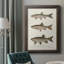 Espèces de poisson antique IV, toile encadrée de qualité supérieure - prête à être accrochée-185911562-174894911